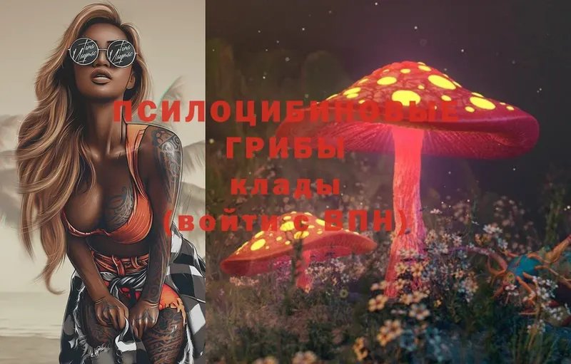 Галлюциногенные грибы Magic Shrooms  Когалым 